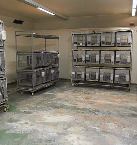 South Africa Roodeplaat